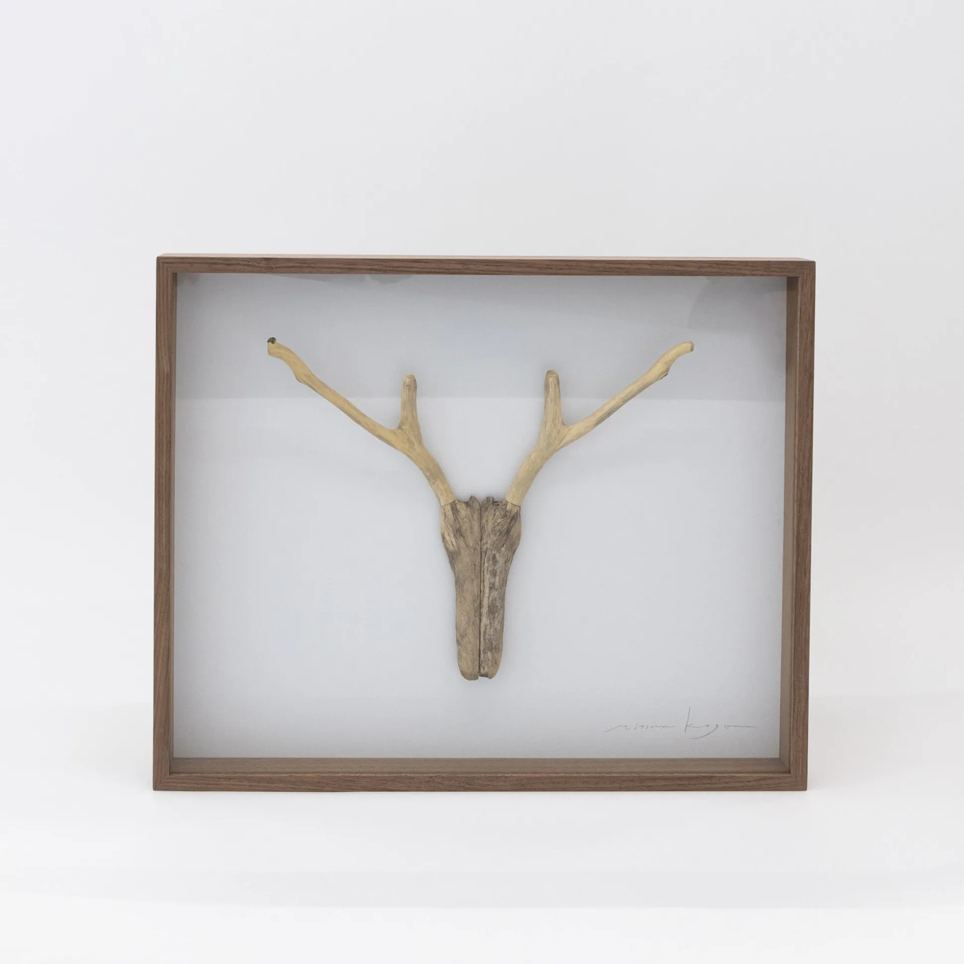 Driftwood Hunting Trophy #1 (2024) By Mitsuru Koga