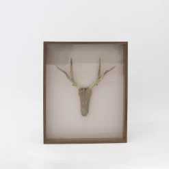 Driftwood Hunting Trophy #3 (2024) By Mitsuru Koga