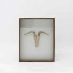 Driftwood Hunting Trophy #5 (2024) By Mitsuru Koga