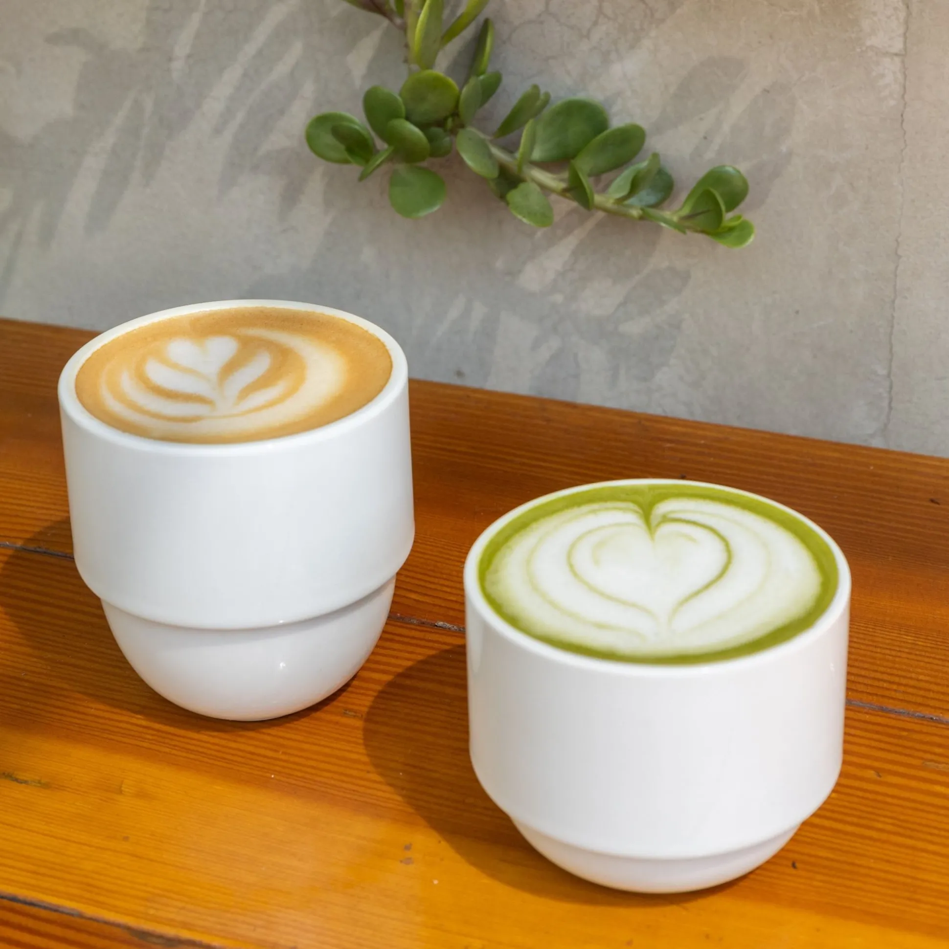 Hpw050 - Latte Cup Short