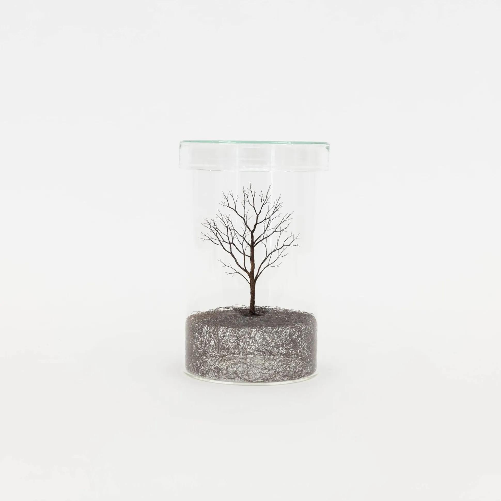 Koga Copper Wire Trees #1, 2022