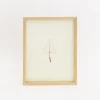 Mitsuru Koga Copper Wire Leaf #1, 2023