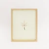 Mitsuru Koga Copper Wire Leaf #5, 2023