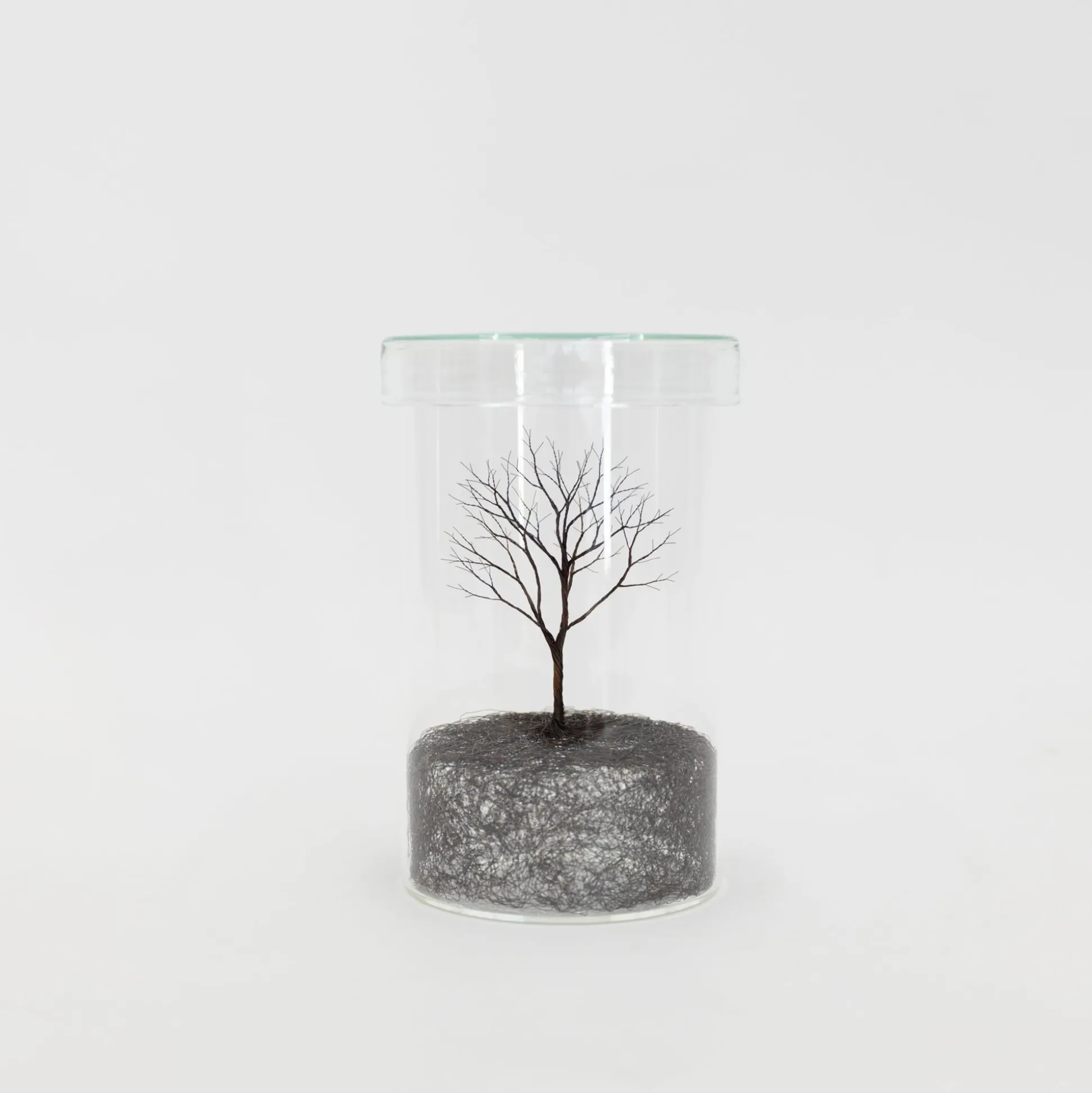 Mitsuru Koga Copper Wire Trees #1 - #6, 2023