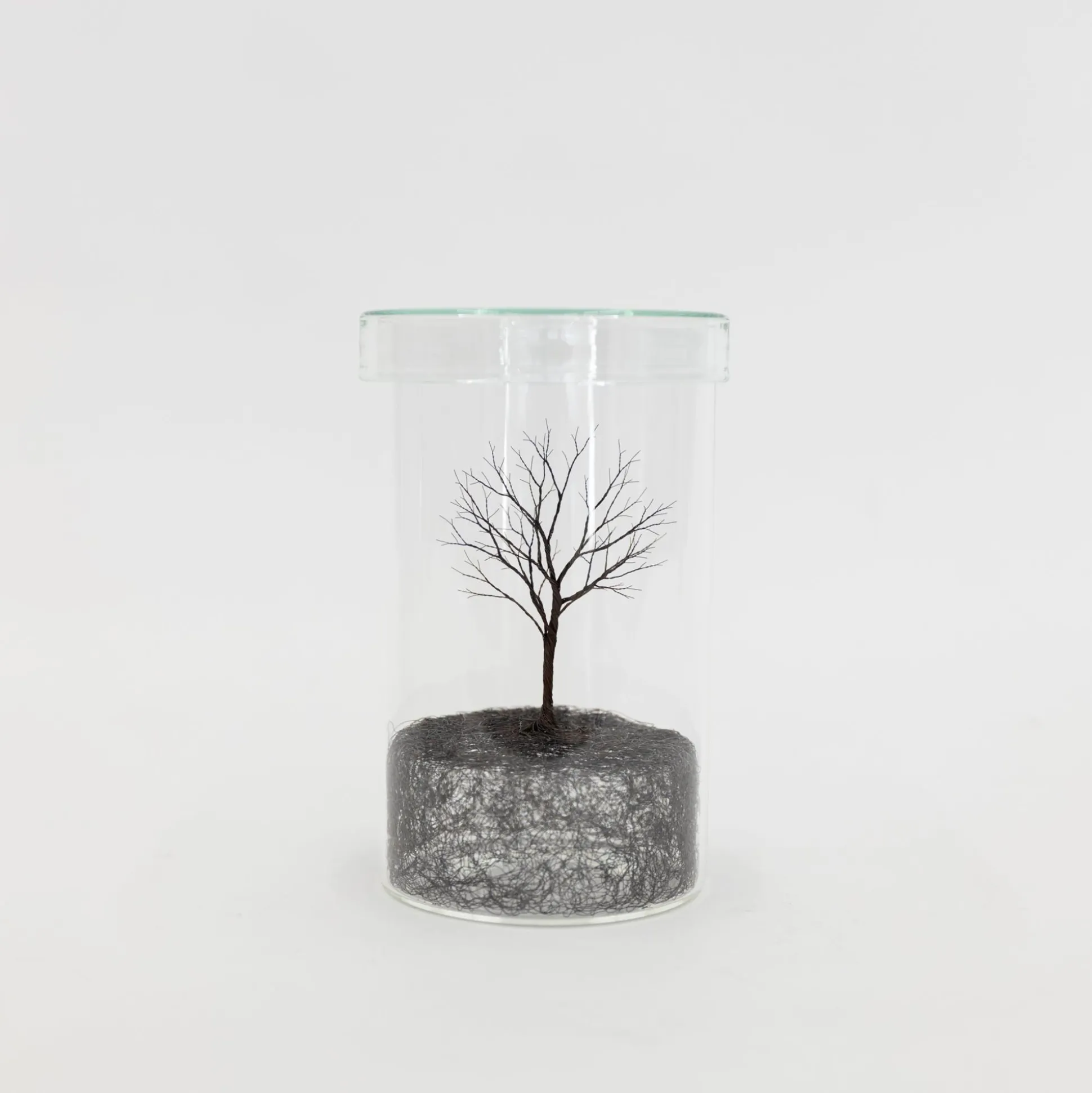 Mitsuru Koga Copper Wire Trees #1 - #6, 2023
