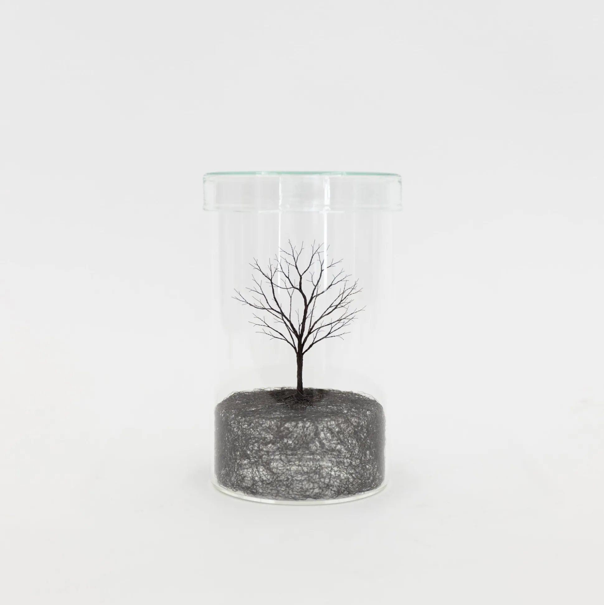 Mitsuru Koga Copper Wire Trees #1 - #6, 2023