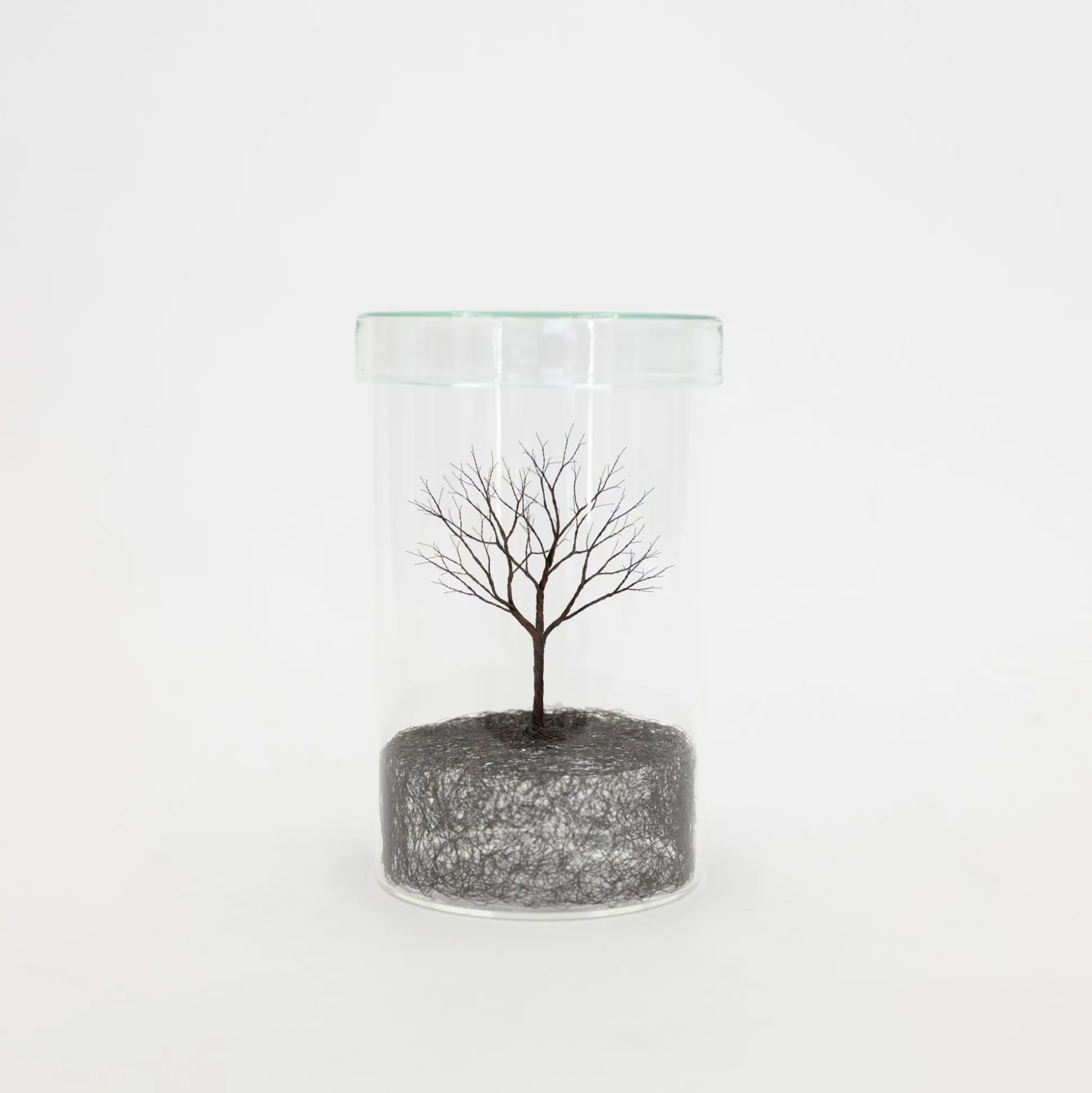 Mitsuru Koga Copper Wire Trees #1 - #6, 2023