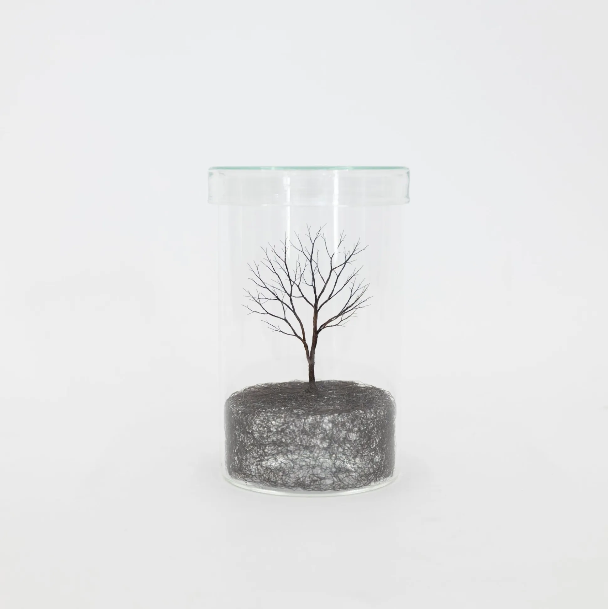 Mitsuru Koga Copper Wire Trees #1 - #6, 2023