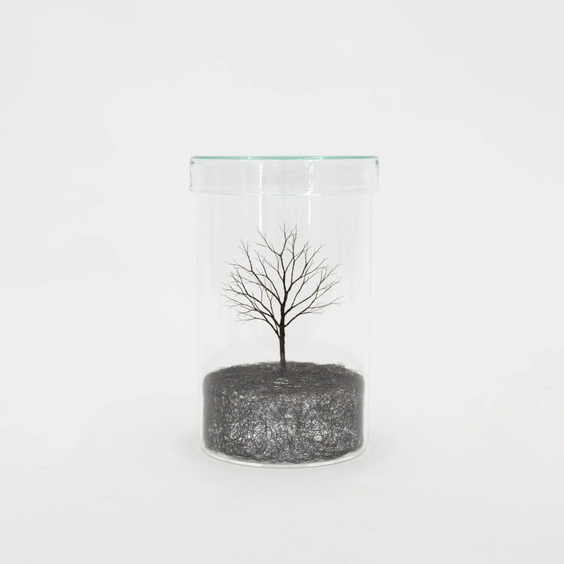 Mitsuru Koga Copper Wire Trees #1 - #6, 2023