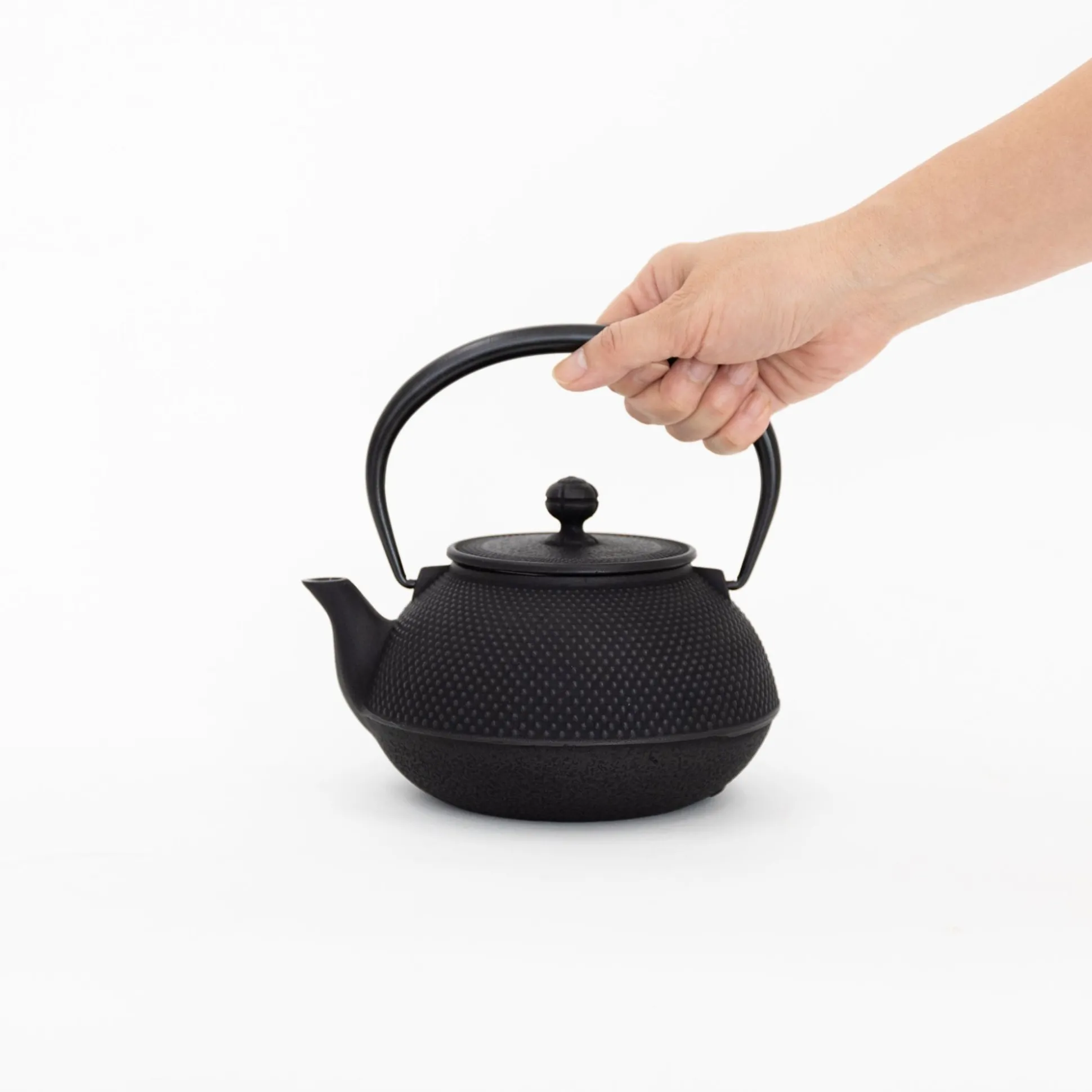 Nambu Tekki Cast Iron Teapot With Strainer - Arare