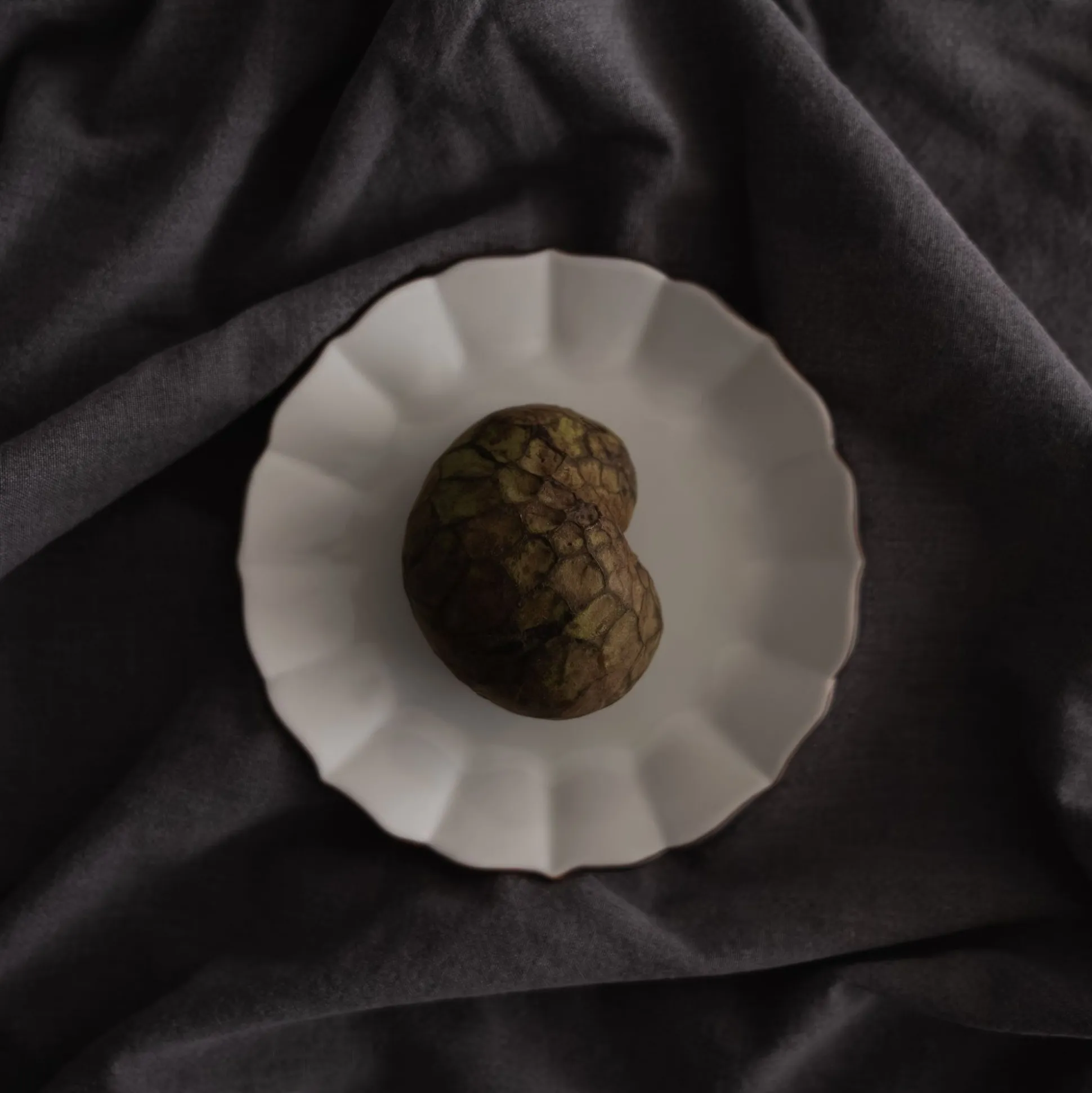 Novem Kiku Plates