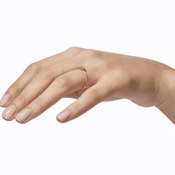 Shihara Classic Ring 02