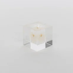 Sola Cube - Apple Of Peru