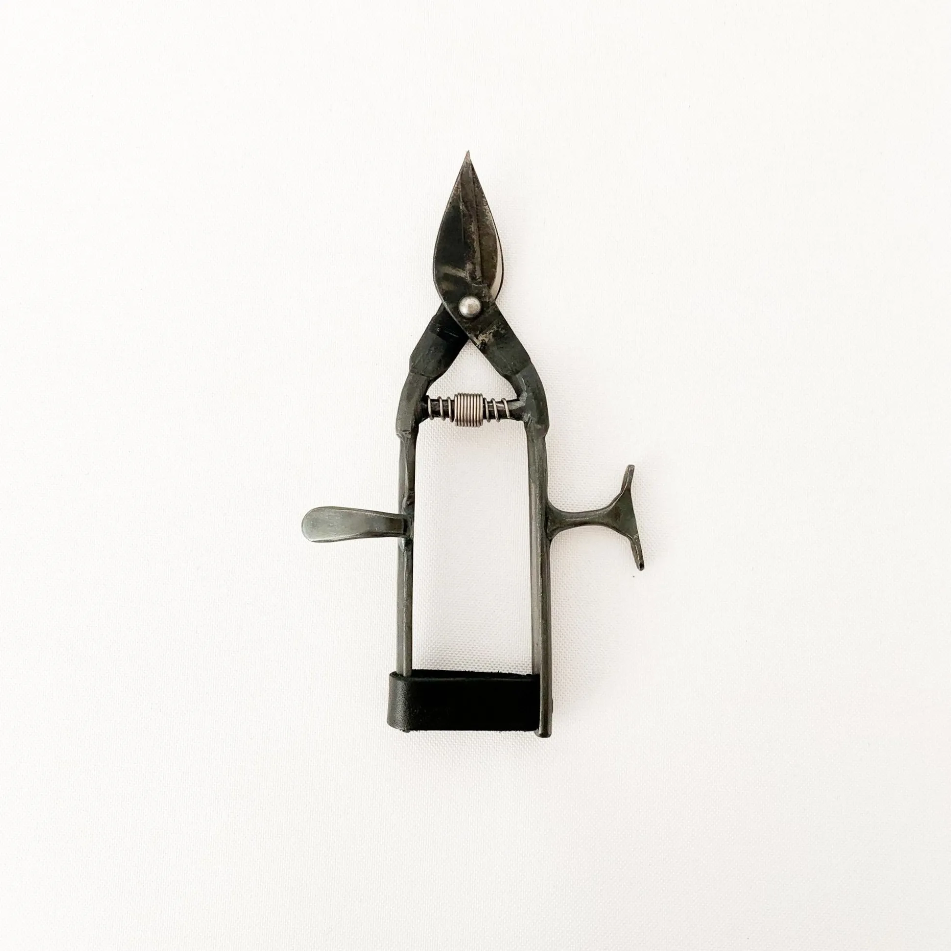 Tajika Garden Scissors