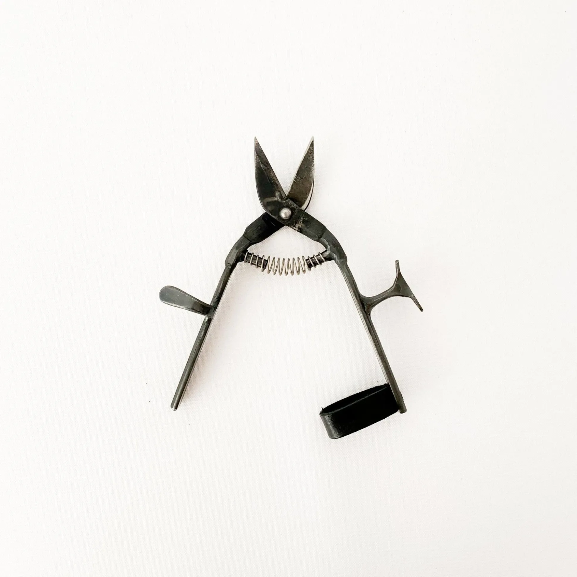 Tajika Garden Scissors