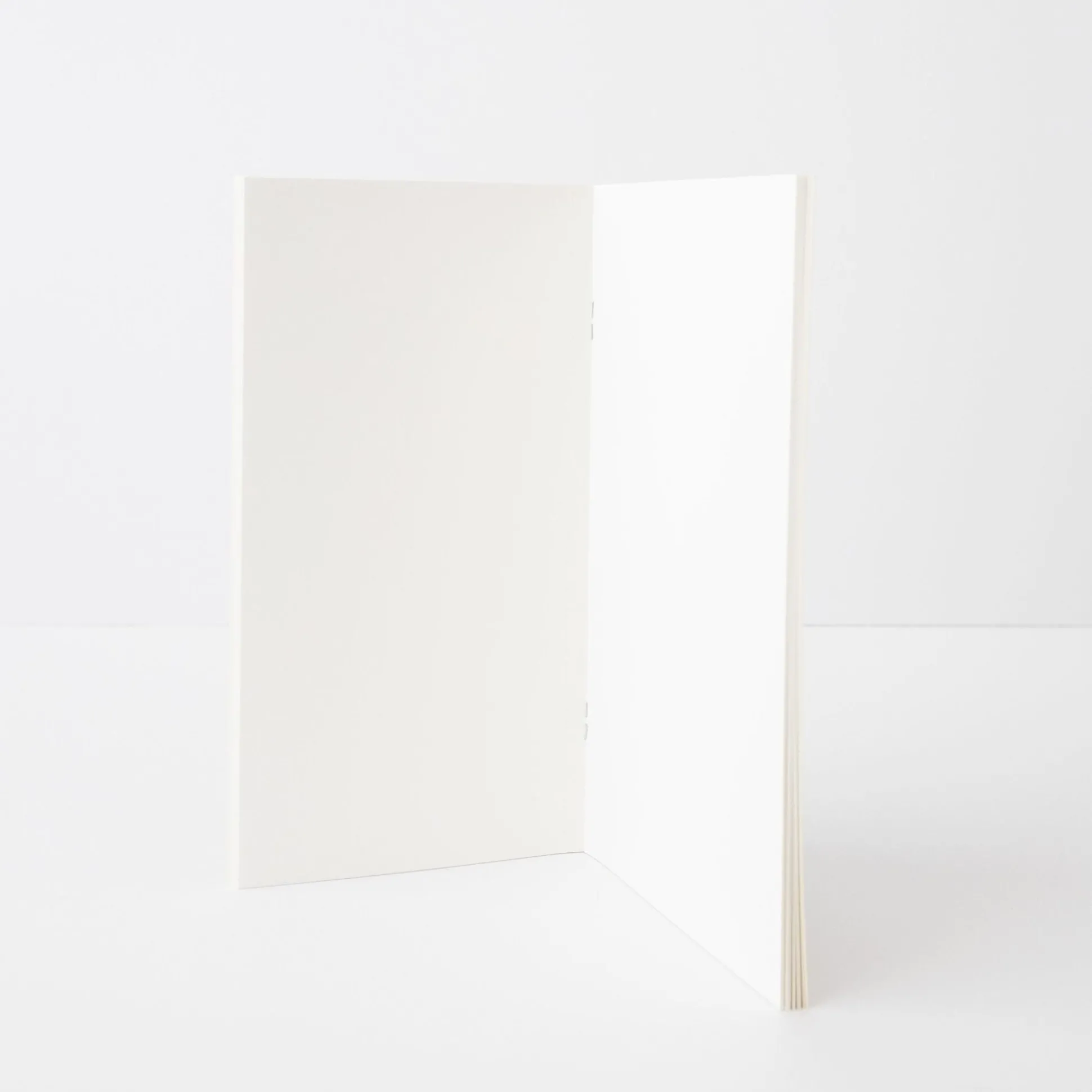 Traveler'S Notebook - Specialized Inserts